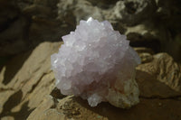 Natural Cactus Flower Spirit Quartz Clusters x 2 From Boekenhouthoek, South Africa