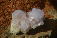 Natural Cactus Flower Spirit Quartz Clusters x 2 From Boekenhouthoek, South Africa