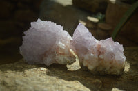 Natural Cactus Flower Spirit Quartz Clusters x 2 From Boekenhouthoek, South Africa