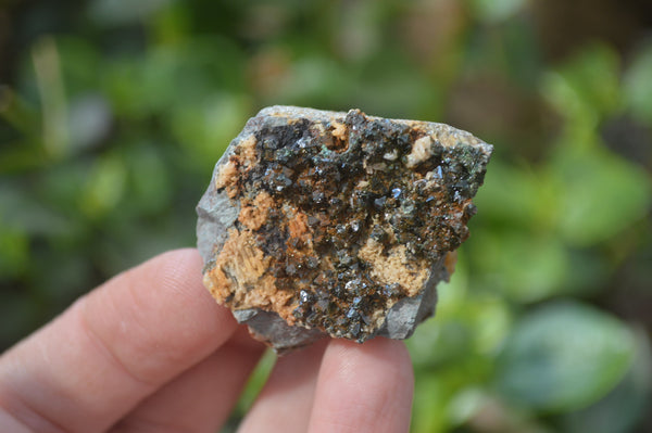 Natural Libethenite Crystals On Dolomite Matrix Specimens x 12 From Shituru, Congo