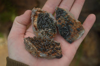 Natural Libethenite Crystals On Dolomite Matrix Specimens x 12 From Shituru, Congo