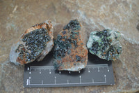 Natural Libethenite Crystals On Dolomite Matrix Specimens x 12 From Shituru, Congo