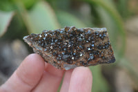 Natural Libethenite Crystals On Dolomite Matrix Specimens x 12 From Shituru, Congo