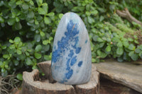 Polished Blue Spinel Spotted Quartz Standing Free Forms x 2 From Madagascar