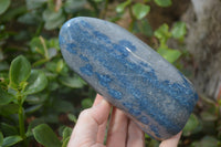 Polished Blue Spinel Spotted Quartz Standing Free Forms x 2 From Madagascar