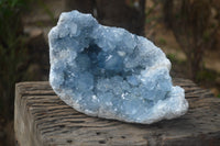 Natural Celestite Geode Specimen x 1 From Sakoany, Madagascar