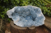 Natural Celestite Geode Specimen x 1 From Sakoany, Madagascar