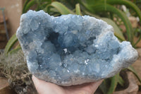 Natural Celestite Geode Specimen x 1 From Sakoany, Madagascar