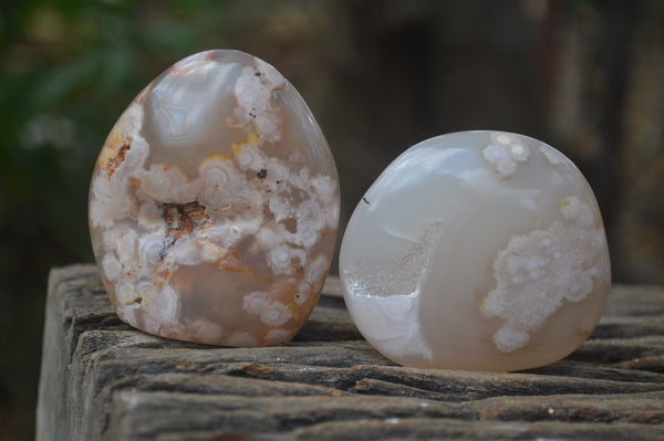 Polished Flower Agate Palm Stones x 35 From Madagascar