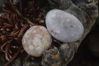 Polished Flower Agate Palm Stones x 35 From Madagascar