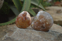 Polished Flower Agate Palm Stones x 35 From Madagascar