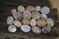 Polished Flower Agate Palm Stones x 35 From Madagascar