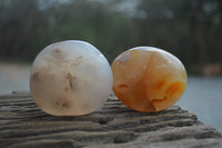 Polished Flower Agate Palm Stones x 35 From Madagascar