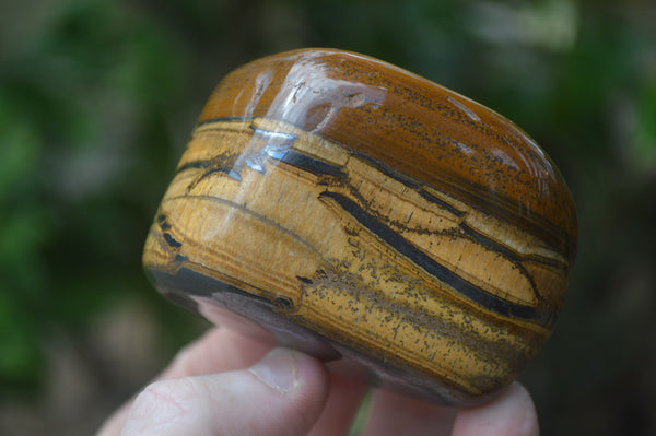 Polished Tiger's Eye Free Forms x 5 From Prieska, South Africa