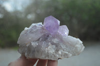 Natural Jacaranda Amethyst Quartz Clusters x 6 from Mumbwa, Zambia