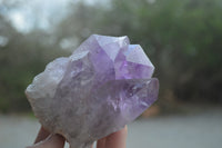 Natural Jacaranda Amethyst Quartz Clusters x 6 from Mumbwa, Zambia