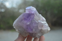 Natural Jacaranda Amethyst Quartz Clusters x 6 from Mumbwa, Zambia