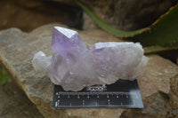 Natural Jacaranda Amethyst Quartz Clusters x 6 from Mumbwa, Zambia