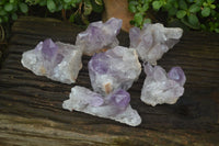 Natural Jacaranda Amethyst Quartz Clusters x 6 from Mumbwa, Zambia