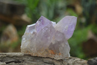 Natural Jacaranda Amethyst Quartz Clusters x 6 from Mumbwa, Zambia