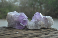 Natural Jacaranda Amethyst Quartz Clusters x 6 from Mumbwa, Zambia