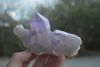 Natural Jacaranda Amethyst Quartz Clusters x 6 from Mumbwa, Zambia