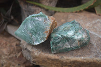 Natural Swazi Jade Cobbed Specimens x 12 from Swaziland