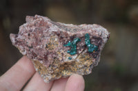 Natural Dioptase On Dolomite Specimens x 6 From Likasi, Congo