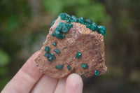 Natural Dioptase On Dolomite Specimens x 6 From Likasi, Congo