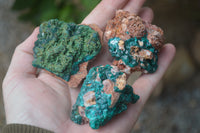 Natural Dioptase On Dolomite Specimens x 6 From Likasi, Congo