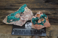 Natural Dioptase On Dolomite Specimens x 6 From Likasi, Congo