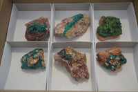 Natural Dioptase On Dolomite Specimens x 6 From Likasi, Congo