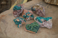 Natural Dioptase On Dolomite Specimens x 6 From Likasi, Congo