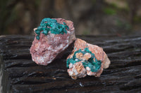 Natural Dioptase On Dolomite Specimens x 6 From Likasi, Congo