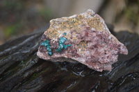 Natural Dioptase On Dolomite Specimens x 6 From Likasi, Congo