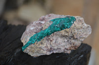 Natural Dioptase On Dolomite Specimens x 6 From Likasi, Congo