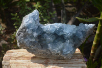 Natural Celestite Geode Specimen x 1 From Sakoany, Madagascar