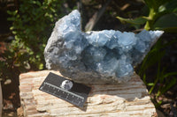 Natural Celestite Geode Specimen x 1 From Sakoany, Madagascar