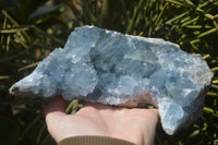 Natural Celestite Geode Specimen x 1 From Sakoany, Madagascar