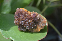 Natural Amethystos Amethyst Clusters x 20 From Kwaggafontein, South Africa