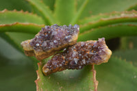 Natural Amethystos Amethyst Clusters x 20 From Kwaggafontein, South Africa