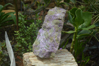 Natural Stichtite Cobbed Specimen x 1 From Barberton, South Africa