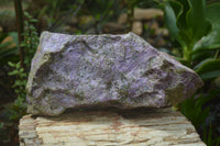 Natural Stichtite Cobbed Specimen x 1 From Barberton, South Africa