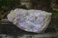 Natural Stichtite Cobbed Specimen x 1 From Barberton, South Africa