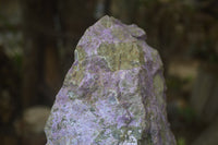 Natural Stichtite Cobbed Specimen x 1 From Barberton, South Africa