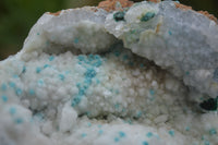 Natural Drusy Coated Malacolla On Dolomite Specimens x 6 From Likasi, Congo