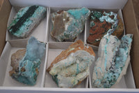 Natural Drusy Coated Malacolla On Dolomite Specimens x 6 From Likasi, Congo