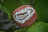 Polished On One Side Polychrome Jasper x 6 From Mahajanga, Madagascar