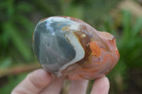 Polished On One Side Polychrome Jasper x 6 From Mahajanga, Madagascar