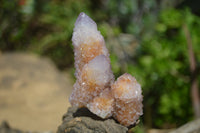 Natural Ametrine Spirit Quartz Clusters x 12 From Boekenhouthoek, South Africa